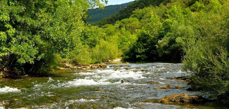 descente des gorges de l'hérault en canoë... 