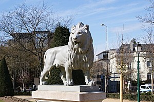 Lion 3