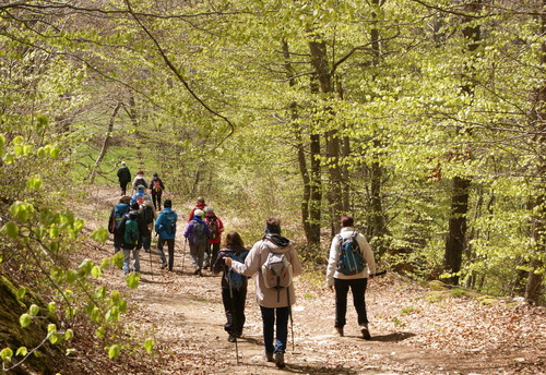 Rando du 6 Mai 2019.le Champ de Sagna.Lubhilac.(43) 12 kms