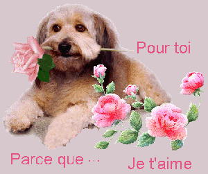 Bonne fin de semaine