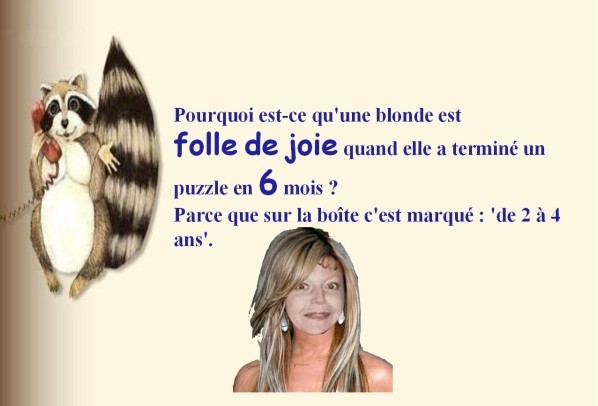 blague-blonde-3.jpg