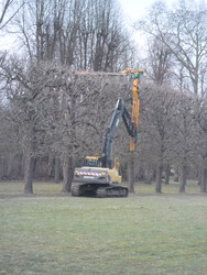 Taille des arbres !