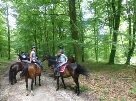 photos feu de camp hauville