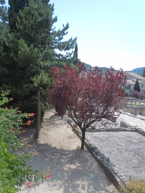 Vaison...le soleil!