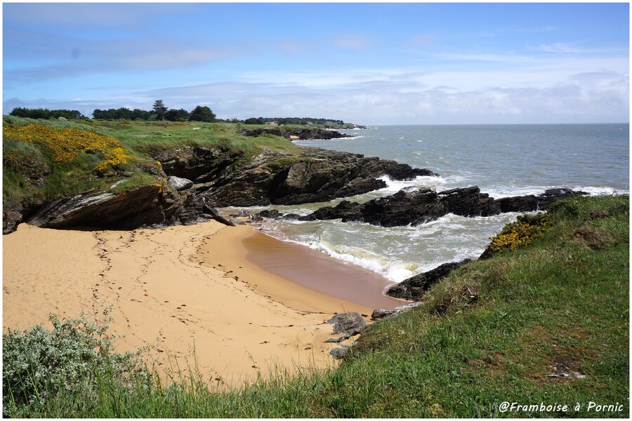 Littoral pornicais au Portmain 