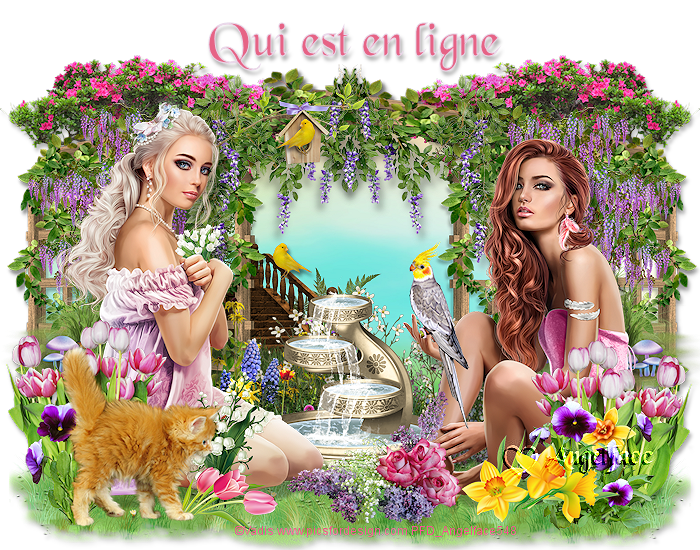 Qui est en ligne ?