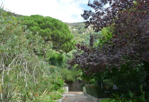 Le pont suspendu de Windsor vu depuis le jardin botaniqueà à Gibraltar