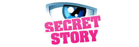 Secret Story 9 : l'émission de TF1 reviendra-t-elle en 2015?
