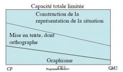 La production d'écrit chez le lecteur débutant, une difficulté ? (3)