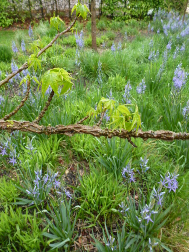 JARDINS DE CHAUMONT, LA POSE GASTRONOMIQUE