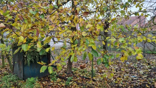 Travaux au Jardin