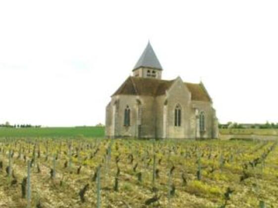 http://lancien.cowblog.fr/images/Paysages5/chablissonvignoblefranceprintemps267657.jpg