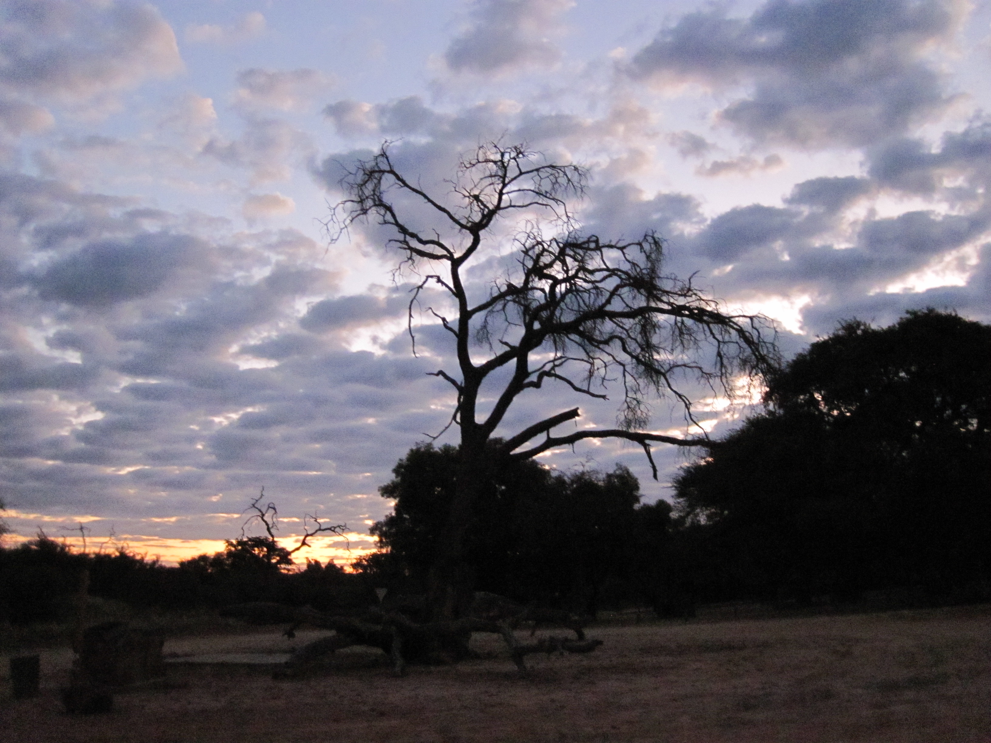 Waterberg Camp