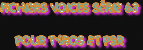 FICHIERS VOICES SÉRIE 63