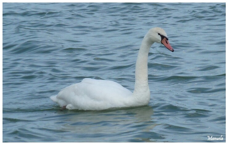 Balade auutour du lac de Vesoul - Vaivre