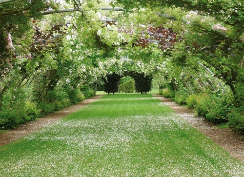 CALENDRIER DU JARDINAGE en AVRIL