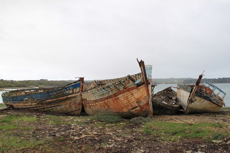 843 - Entre épaves et volets bleus en Presqu’île de Crozon (29)