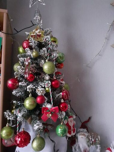 Le petit sapin rouge et vert 