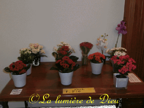 La Panne : Crypte Notre-dame de Fatima