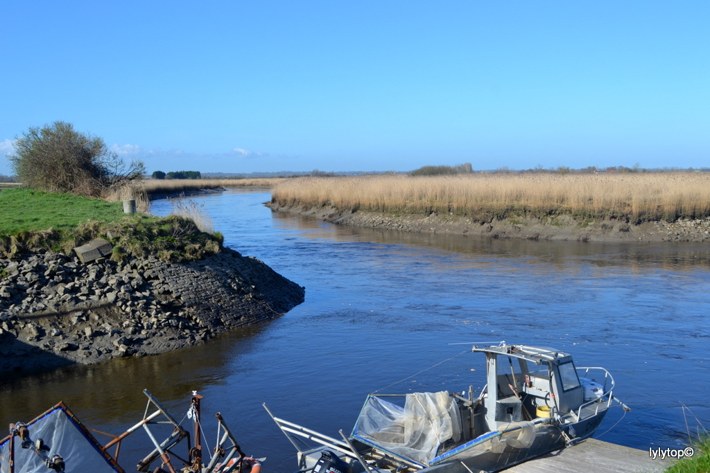 Carentan les marais