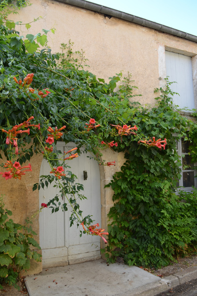 Autour de Châtillon-sur-Seine : 4 août 2015