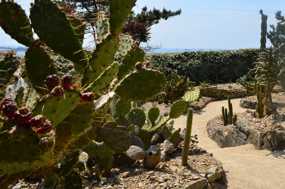 Ile de Batz, le jardin Georges Delaselle