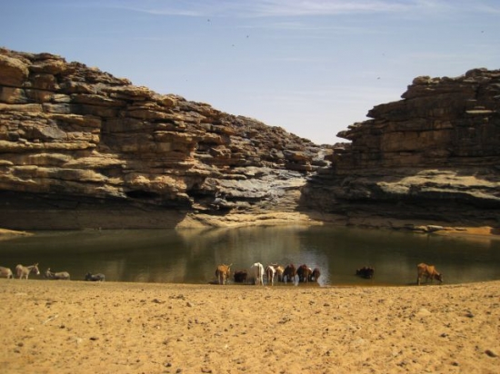 Mauritanie Guelta Sur la piste vers la passe de Néga