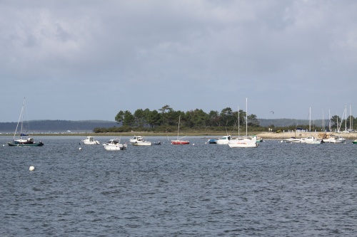 Bassin d Arcachon 2