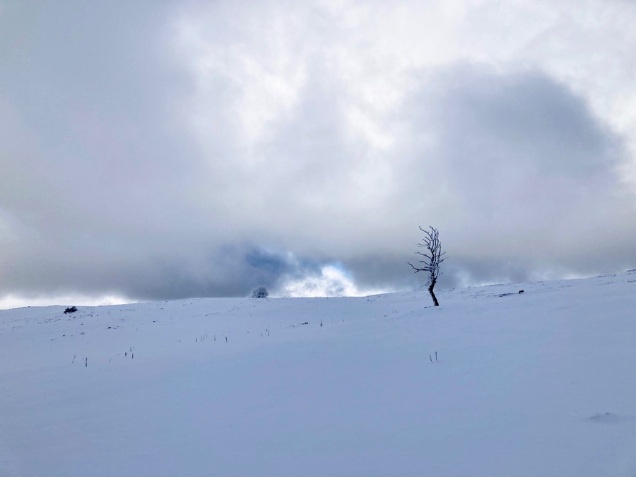 Quelques randonnées réfrigérées au Mont d'Or