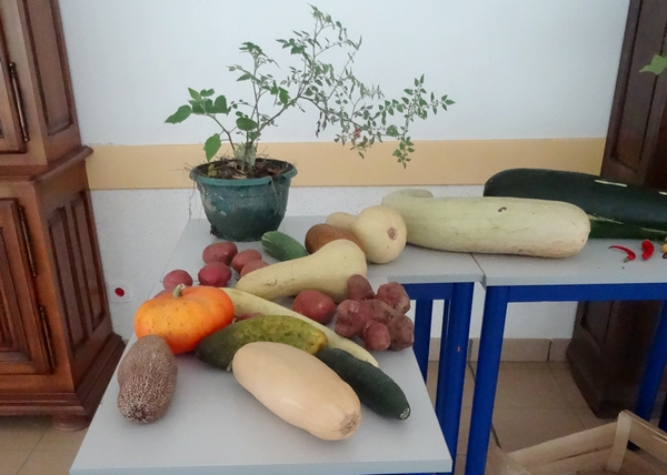 "Monsieur Tomate" a présenté la permaculture aux lycéens de la Barotte...