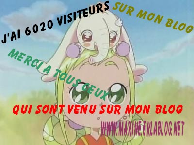 J'ai 6020 visiteurs sur mon blog