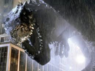 Godzilla - Bande Annonce (2014)