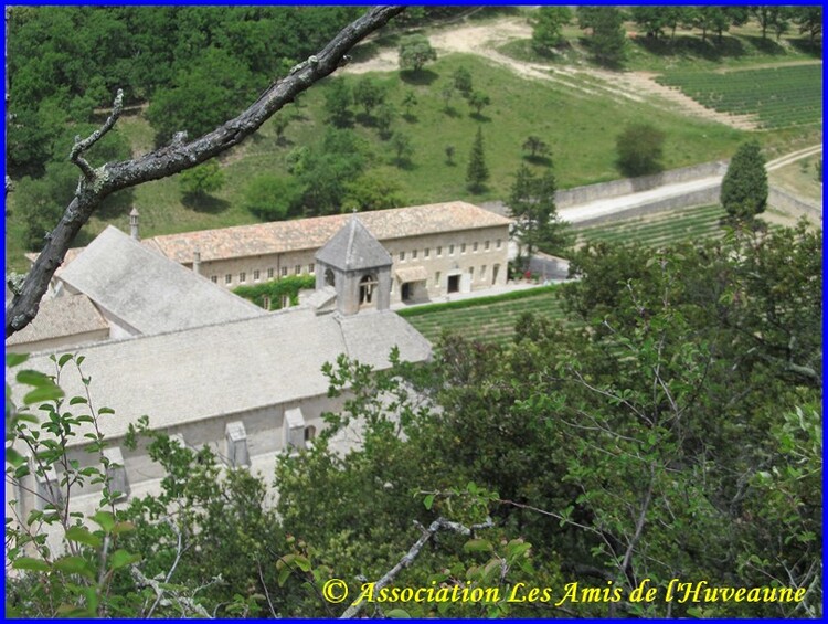 Luberon, L'abbaye de Senanque