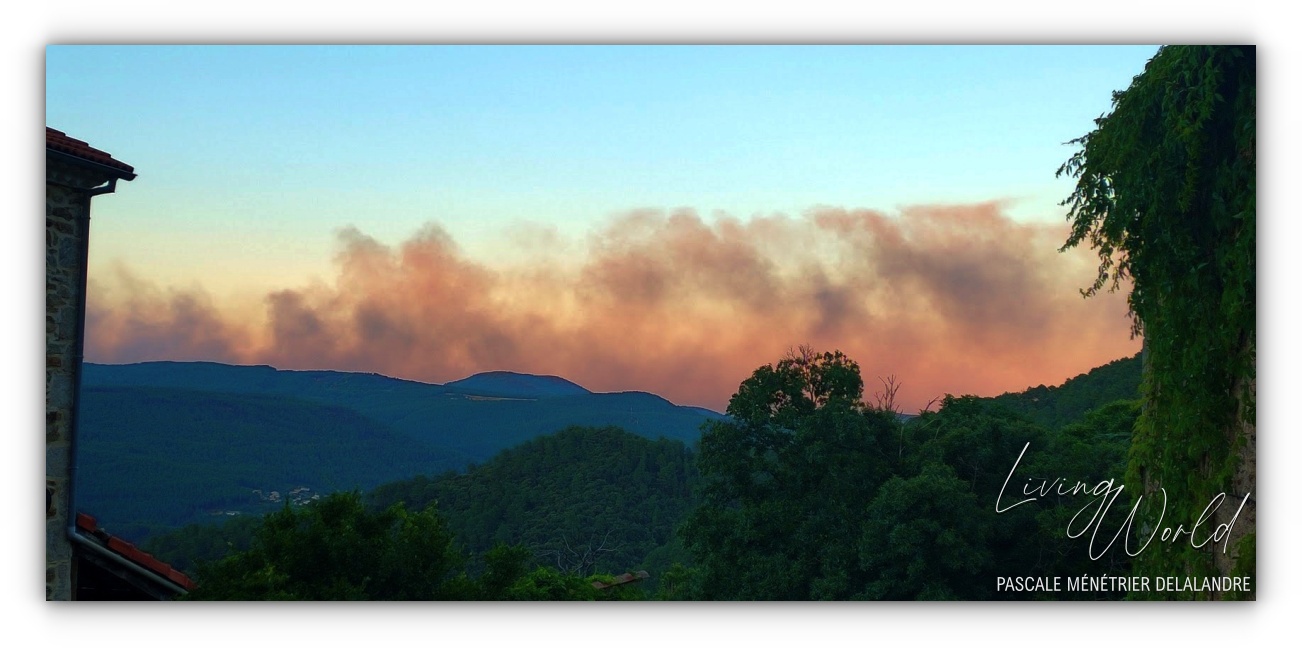 07 07 2022 - 19h - Vu de mes fenêtres le « Méga feu » dans le Gard ;