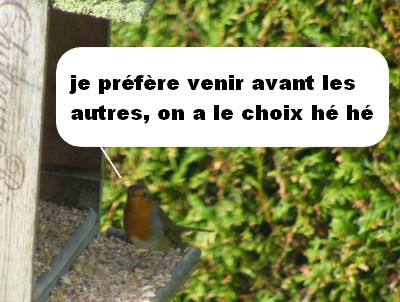 On parle de tout chez le poissonnier.