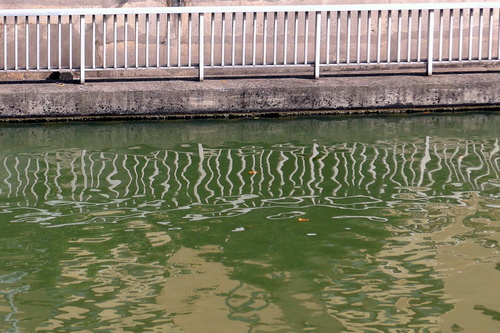 Canal du Midi : un reflet