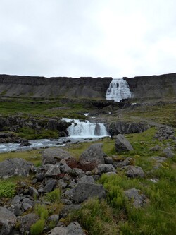 18 juin, de Tálknafjörður à Þingeyri