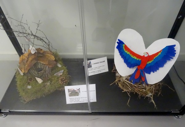 Les élèves de vingt-neuf écoles du Pays Châtillonnais ont réalisé de magnifiques compositions d'oiseaux pour la nuit des musées 2016