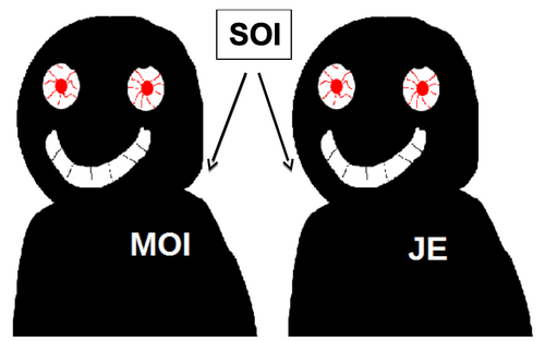 Le "soi", le "moi",  le "je" et notre cerveau