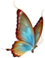 papillons png