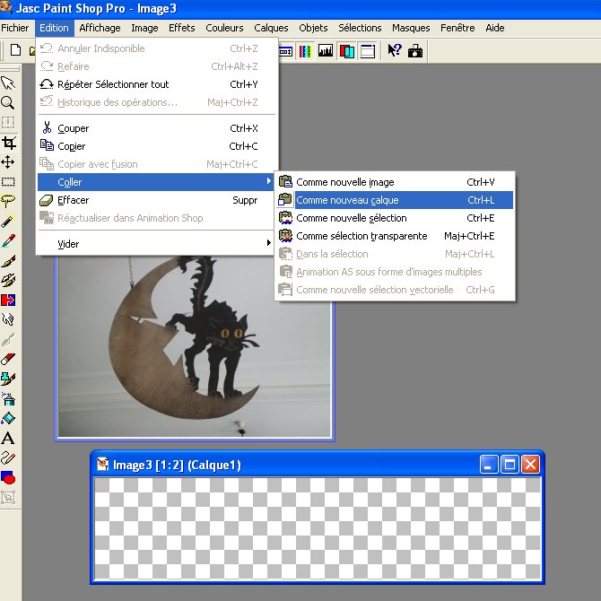 Une bannière avec Paint Shop Pro