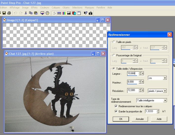 Une bannière avec Paint Shop Pro