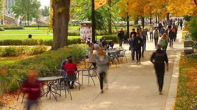 books autumn students walking campus 