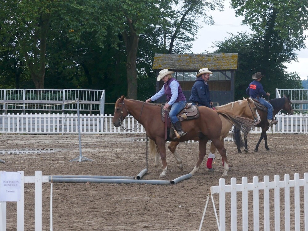 Haras du Pin - Normandie - Orne