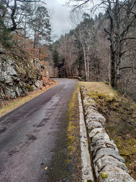 Sortie record vélo de route de le Livradois :p :p 