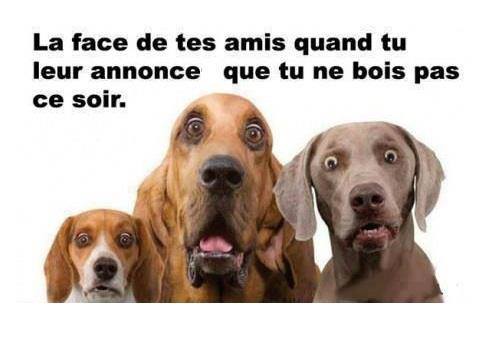 humour