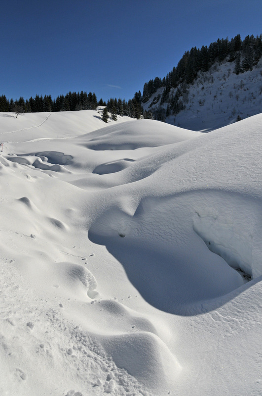 Balade d'hiver : le Praz-de-Lys (7)