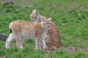 DSC_0429 DSC_0429
