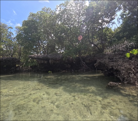 Safaris Blue, Zanzibar. 2023.