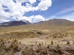 De Puño a Cusco